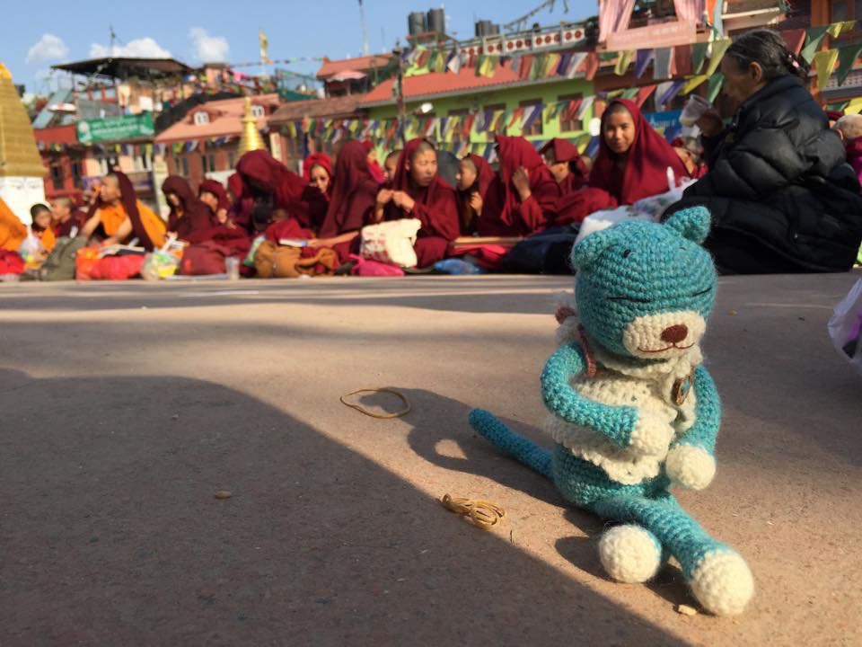 send your stuffed animal on a trip 5 cd